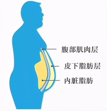 wildfieldhealth多喝水真的好吗,wildfieldhealth蛋白粉冰柠茶