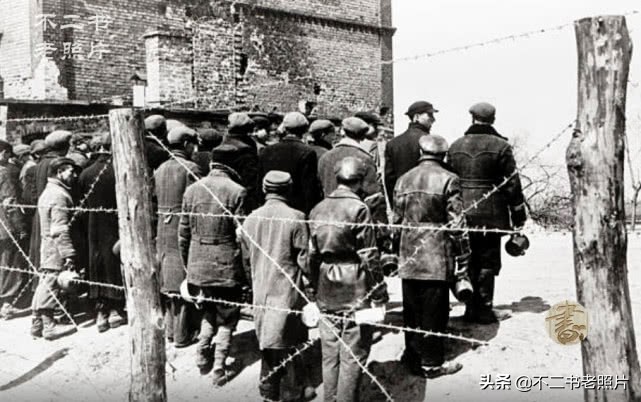 二战德国波兰为什么败,二战被德国入侵的波兰有多惨