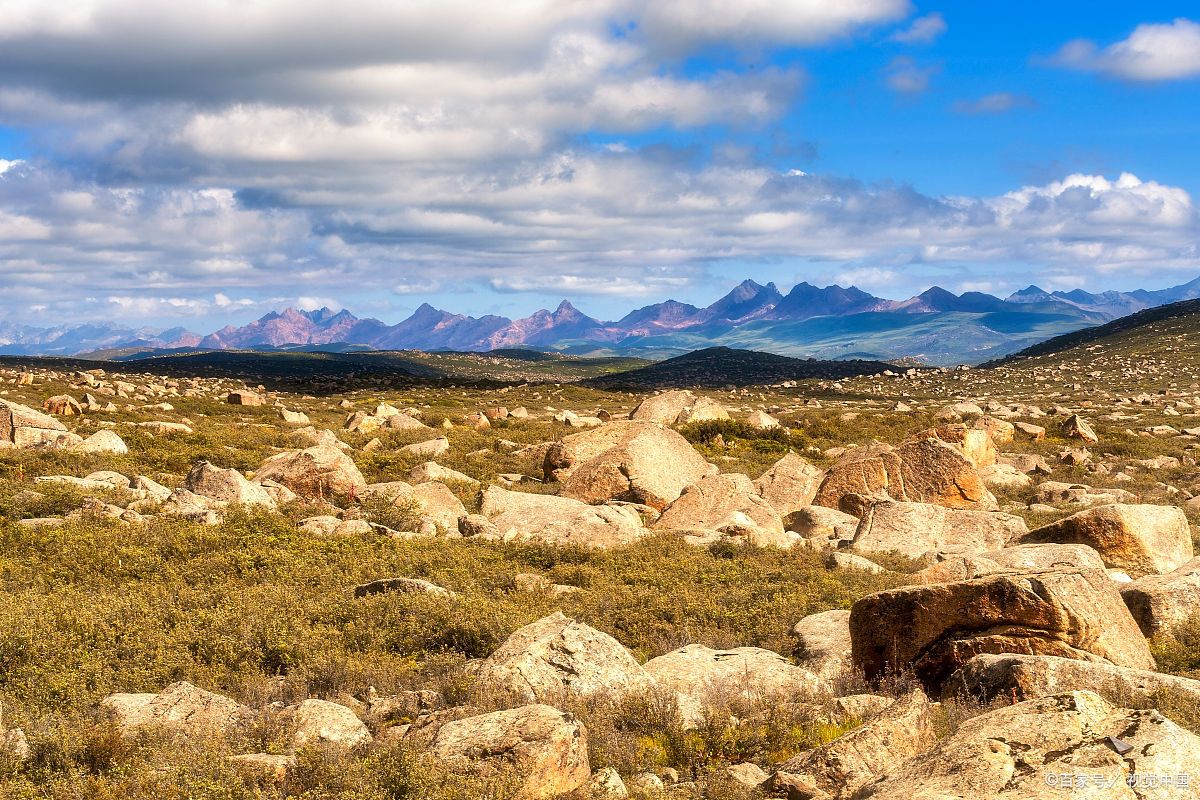 可可西里无人区为什么是人类禁区,去可可西里无人区死亡率