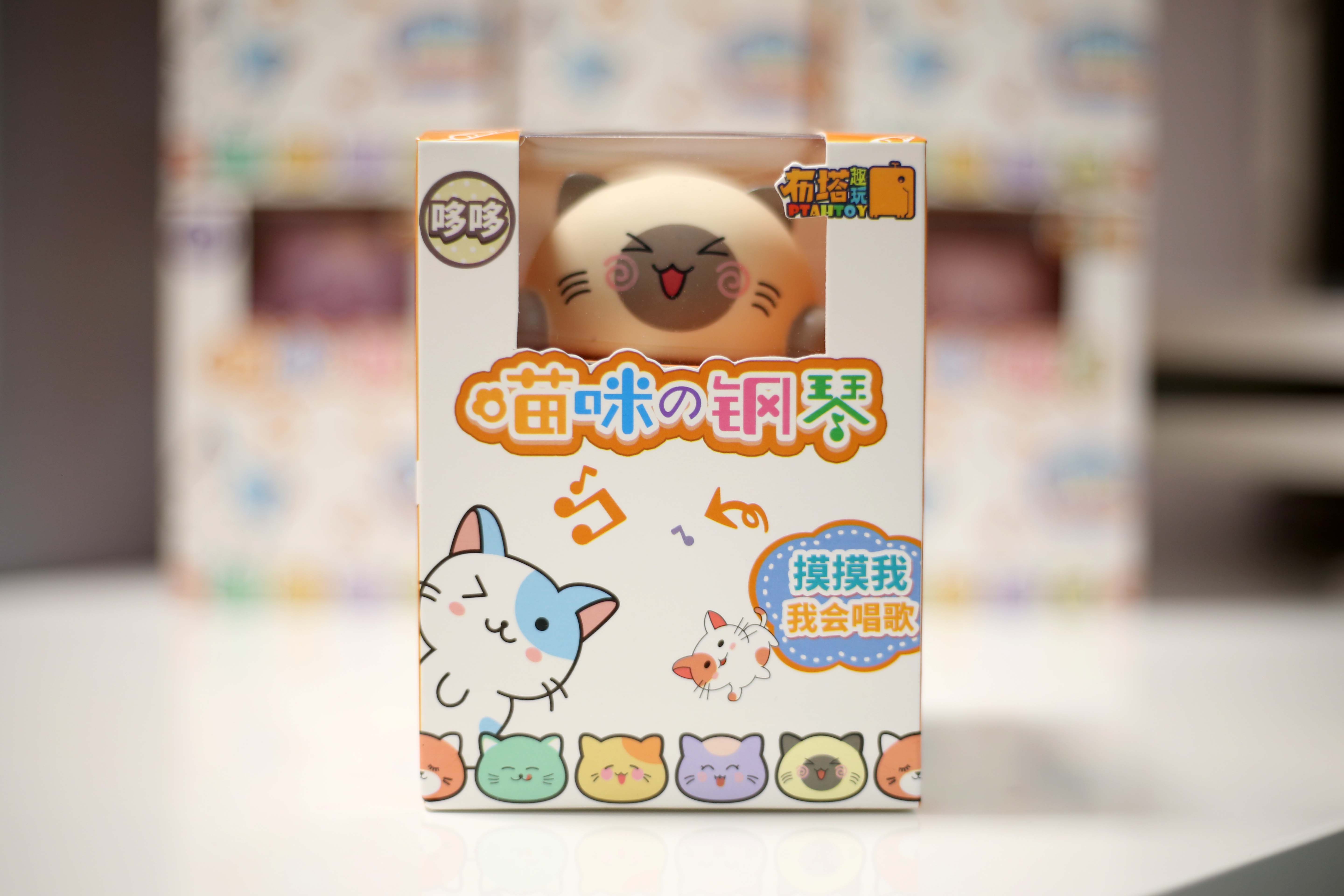 适合撸猫的猫咪,撸猫爱好者