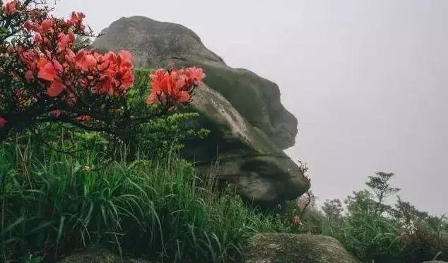 中国天堂般的6大徒步旅游胜地,广州最值得去徒步的山峰