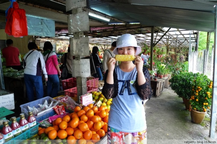 马来西亚办农庄,马来西亚农家小院
