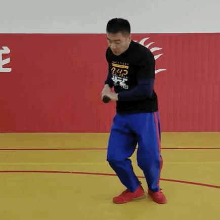 张伟丽不仅学过太极还学过中国跤,张伟丽ufc中国跤