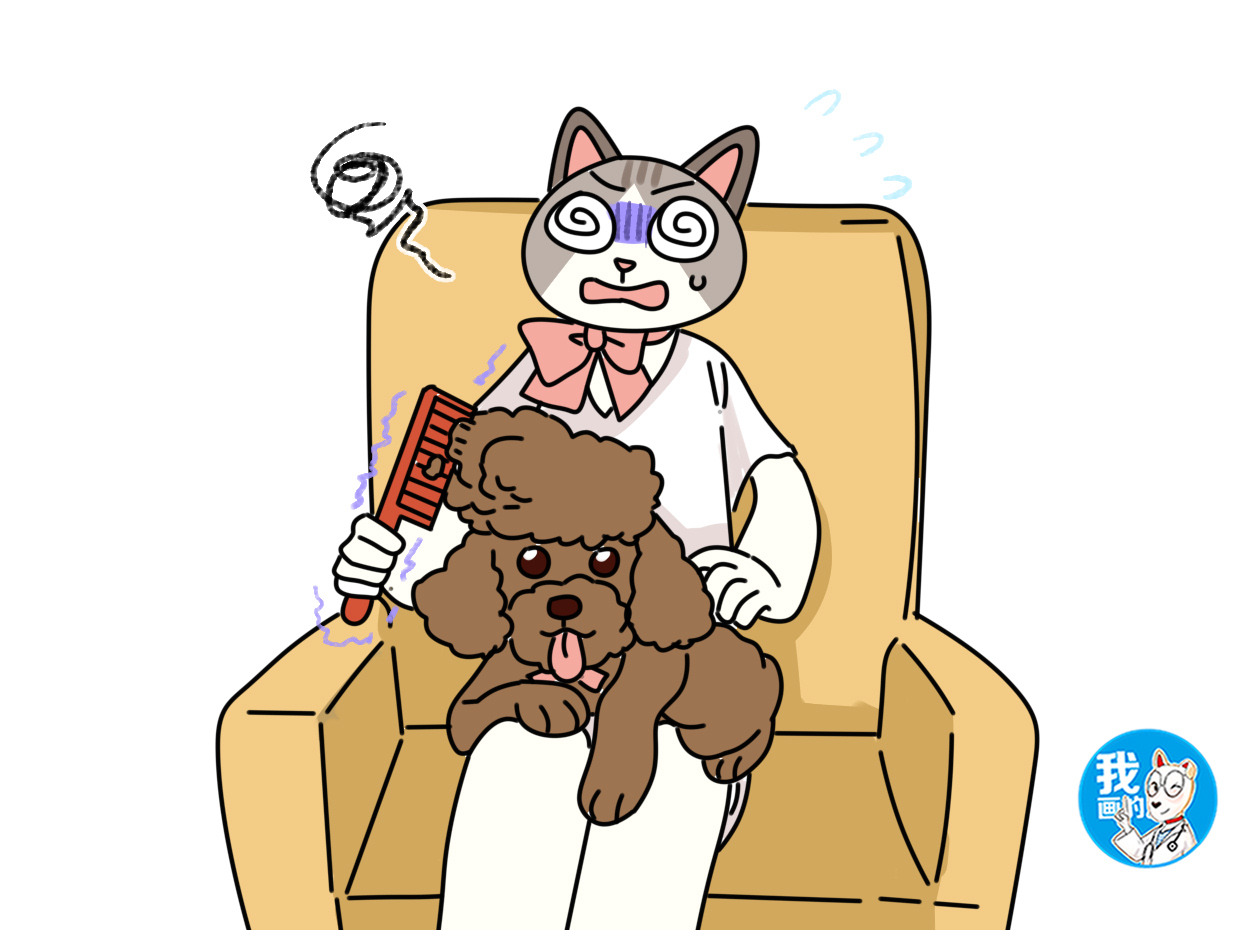 铲屎官测评,铲屎官必看神器