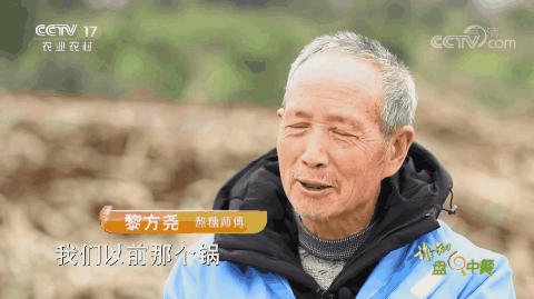 红糖补血吗可以经常喝吗,红糖真的可以补血吗