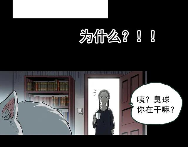 女助理漫画,助理漫画