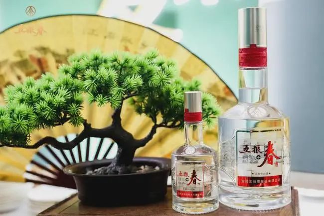 5年不增量,五粮春“野心”不小!|卖酒狼热点