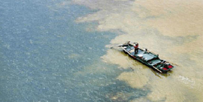 是你们说的全程高潮，但结局我想骂街