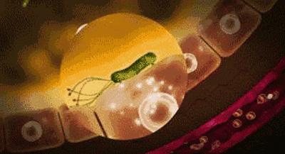 一张嘴就臭,一张嘴就口臭小妙招