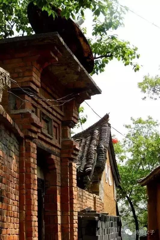 诗经女子:棣花,那一朵盛开的小镇