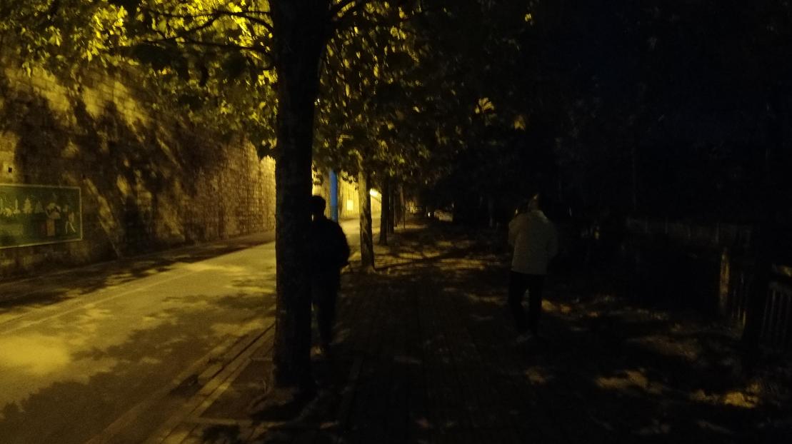 绿化把路灯挡住了怎么投诉,网友问政绿化带问题有关部门回复