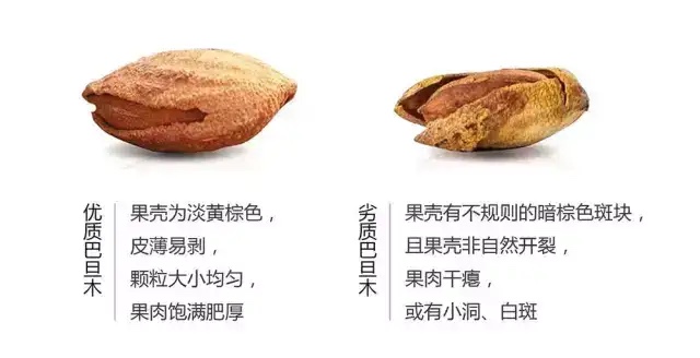 坚果营养高但不要这样给孩子吃,这3种坚果千万别碰没营养还伤身