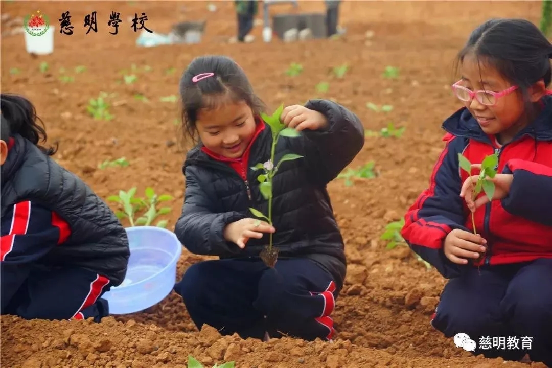 一所充满爱的学校,这是一所漂亮的学校英语