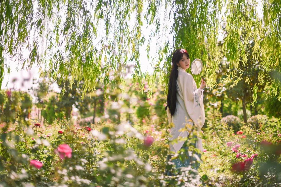 又刷屏了!高新这片花海,惊艳你的朋友圈!