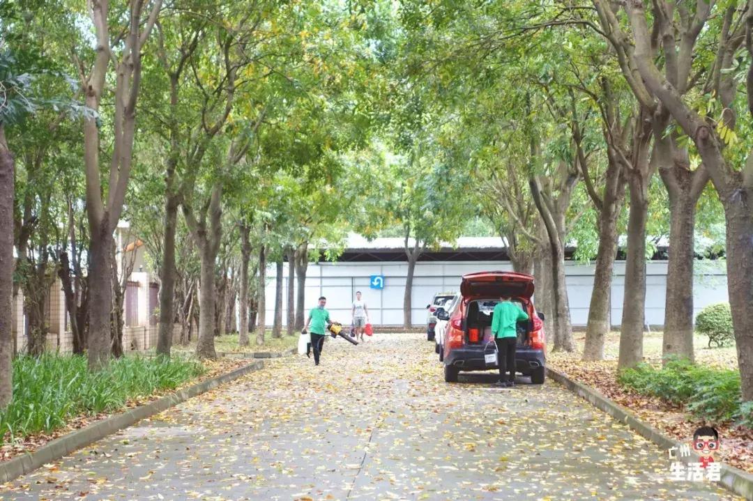 全国飞机最多的大学,中国有多少航空学校