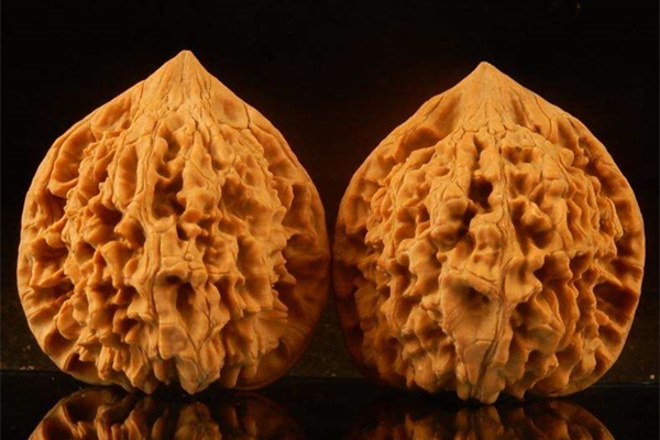 文玩核桃官帽和狮子头区别,文玩核桃官帽与狮子头区别