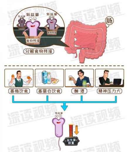 减肥期间便秘但是有放屁,减肥期间便秘影响体重吗