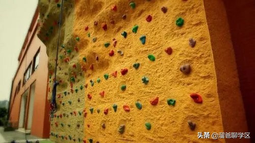 名校巡礼之泡桐树小学天府校区,名校巡礼