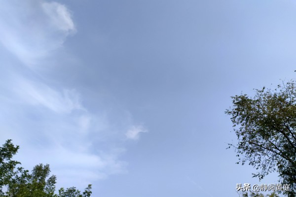 一首唐诗一阵风，不仅送来春花烂漫与黄叶飘飘，还驱散了所有阴霾