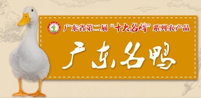 鸭肉是滋补佳品吗,鸭肉属于优质脂肪吗
