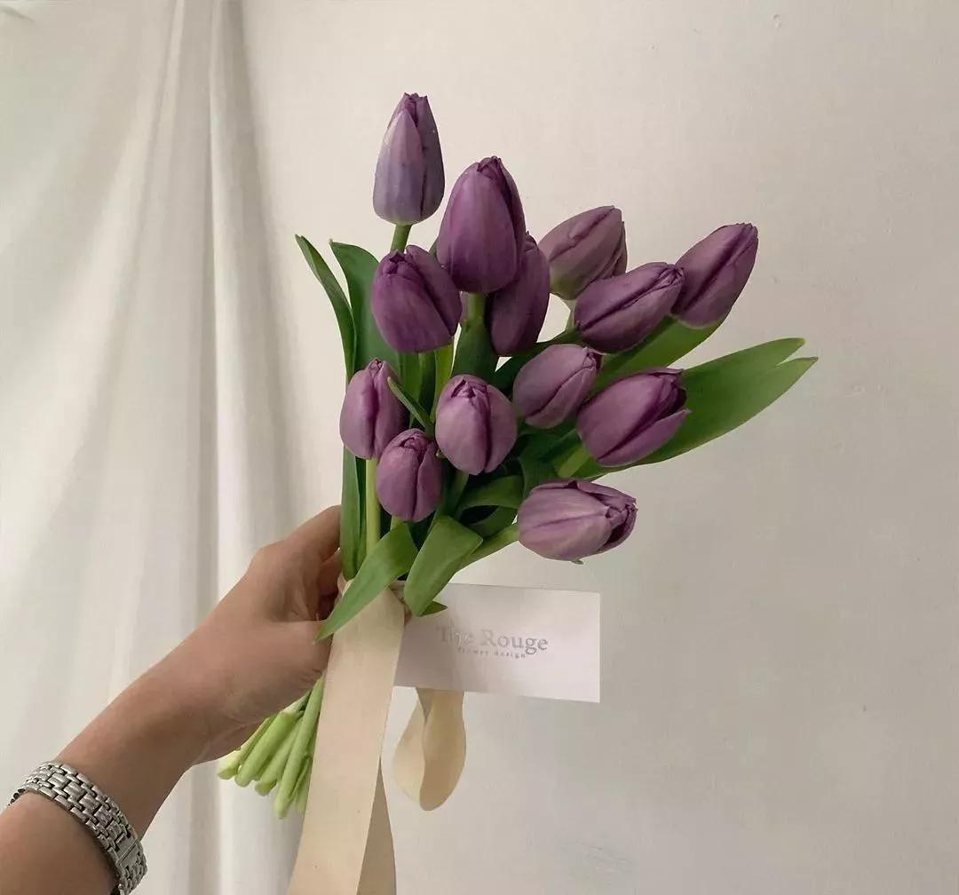 花材不剪枝如何养护,花材不用换水养护方法大全