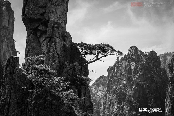 黄山风景悬崖峭壁,峡谷怪石嶙峋
