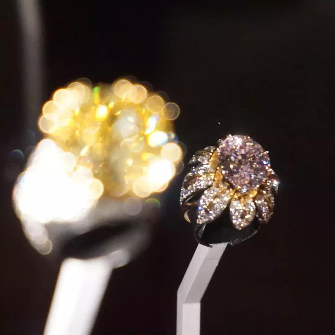 云鬓并不珠翠|BunnyMellon,一个世纪的美国风华