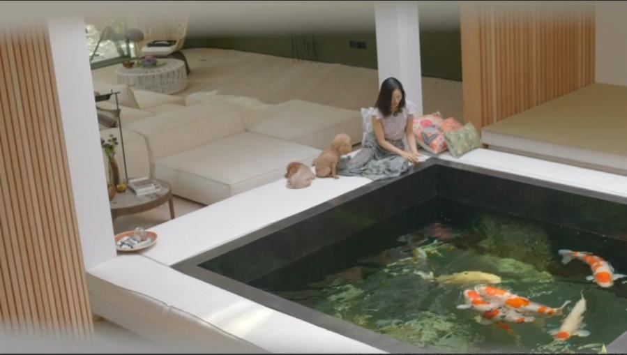 江一燕的豪宅被拆了吗,江一燕别墅被拆