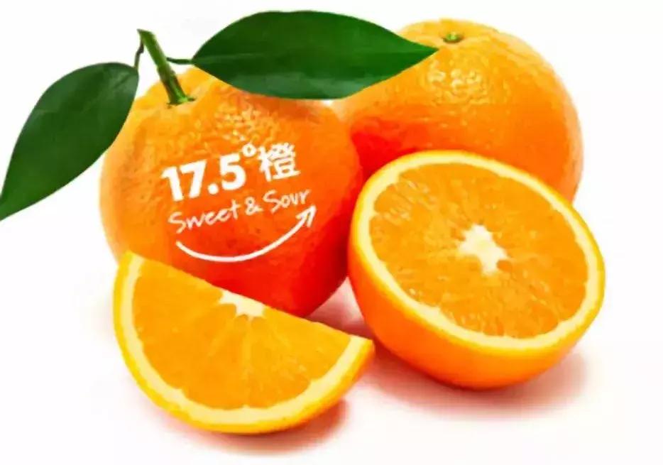 国潮盘点,国潮音乐节你看了几场