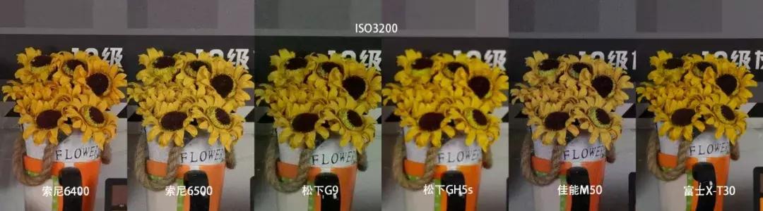 横评|索尼A6400、A6500、松下G9、GH5S、富士X-T30和佳能M50