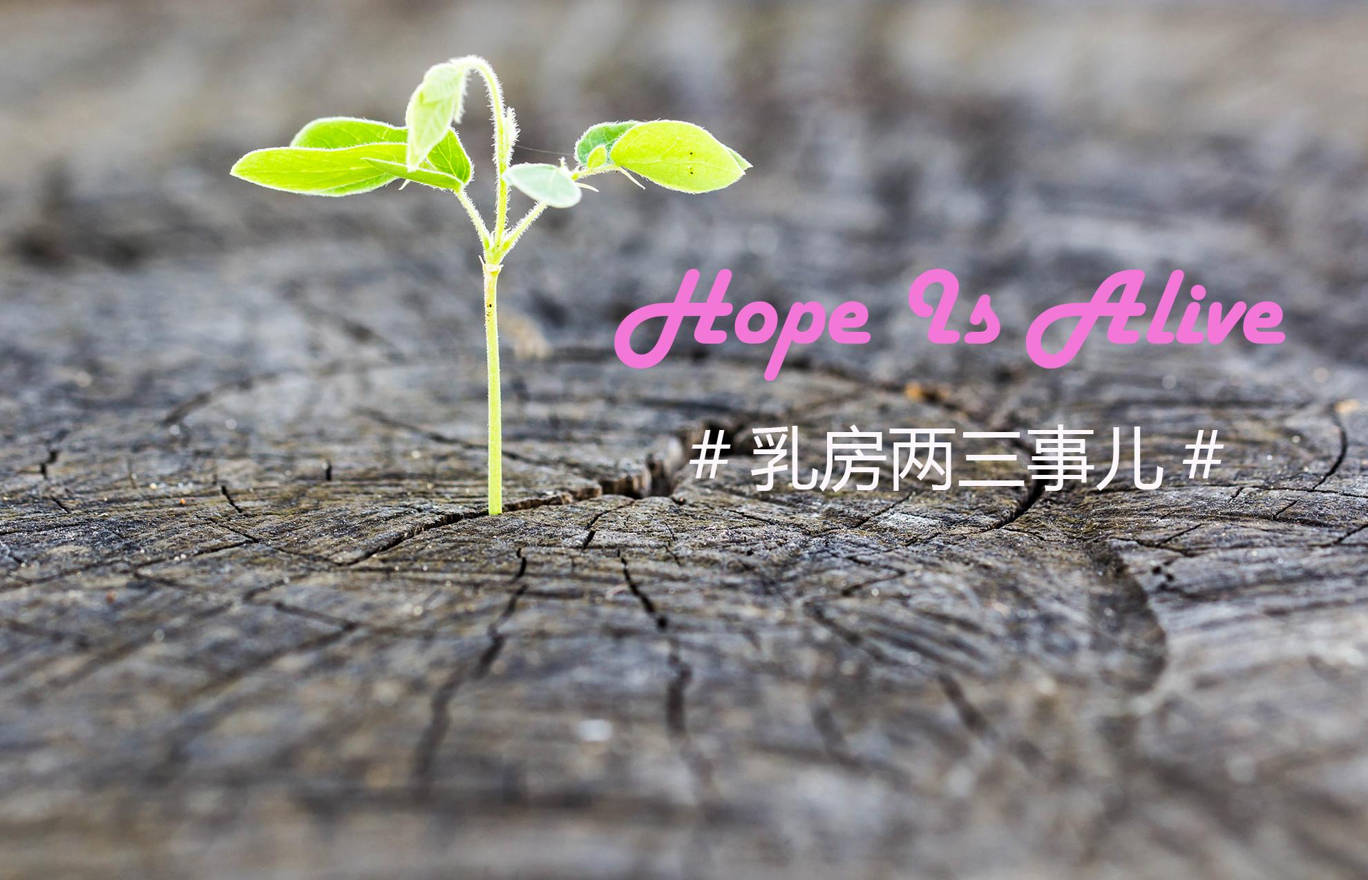 我的胸部下垂什么情况,我的胸下垂