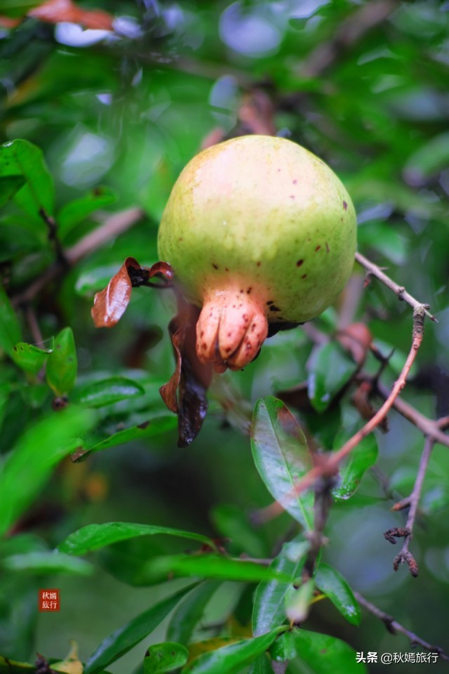 苏州古典园林风景欣赏,常熟江南园林