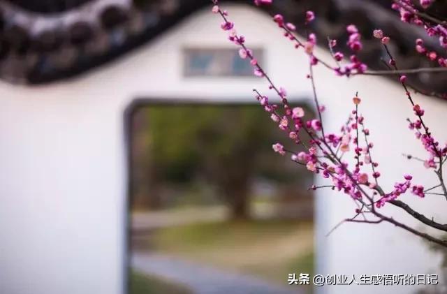 才华横溢令人惊呆的诗,才华横溢十首诗