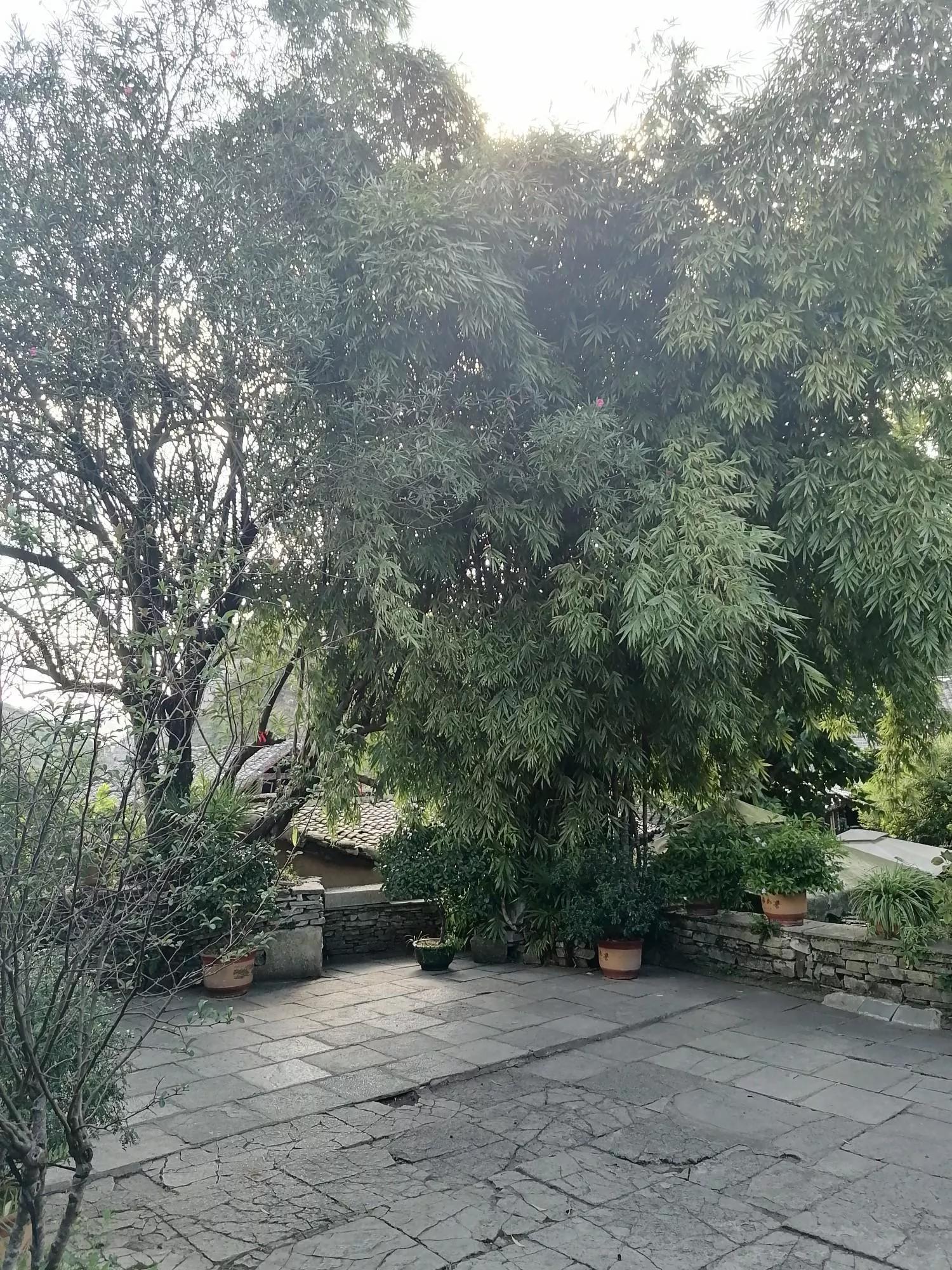 贵州贵阳青岩古镇旅游游记,贵州贵阳青岩古镇迎参观热潮