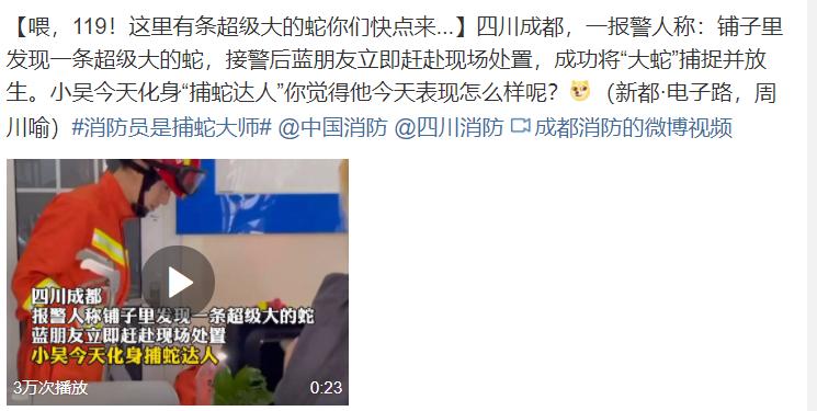 贵州出现大量的蛇进入家里,3米长大蛇出没吓坏村民