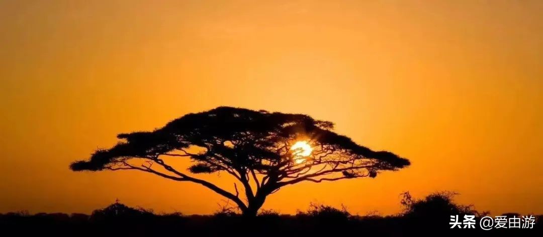 《猎狐》行动,200万能在非洲挥霍一生吗?