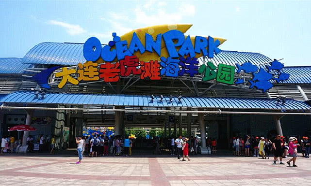 中国哪些动物园可以跟熊猫互动,国内拥有熊猫的动物园有哪些