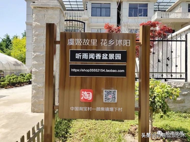 盆景产业的前景,我的盆景创业之路