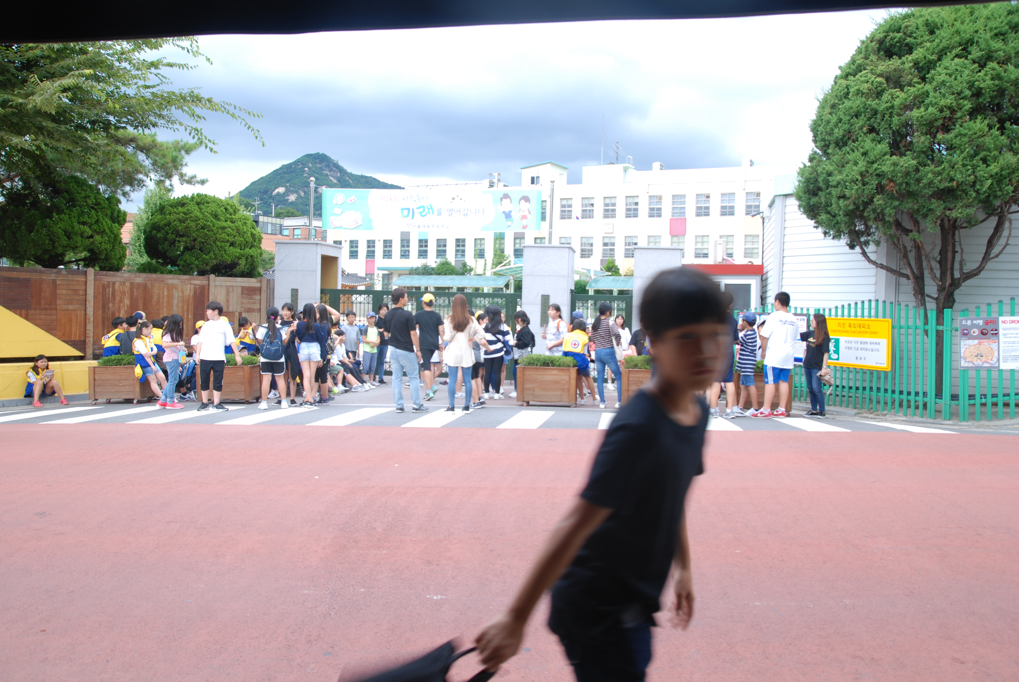 韩国紫菜包饭年糕,韩国美食一条街紫菜饭