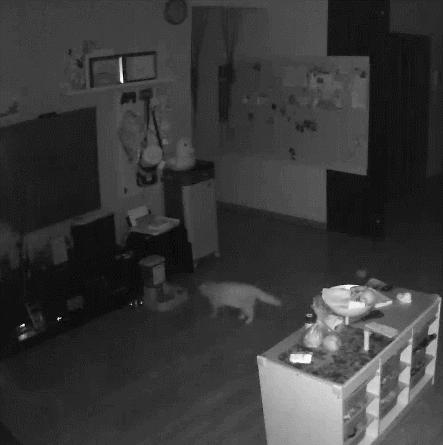 小爱音箱如何定时声控,如何用小爱音箱控制家里的智能灯