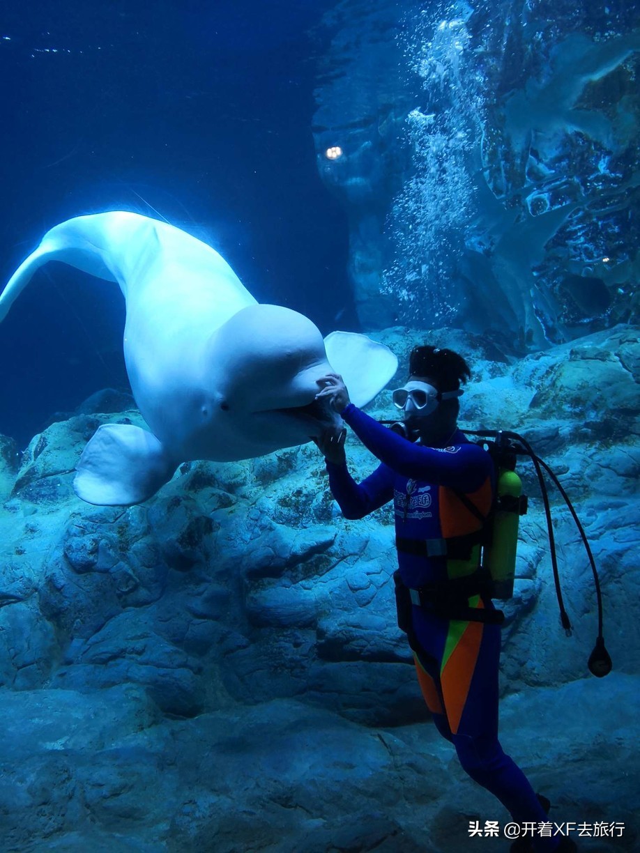 说走就走的旅行攻略省钱一天,说走就走的旅行攻略大全