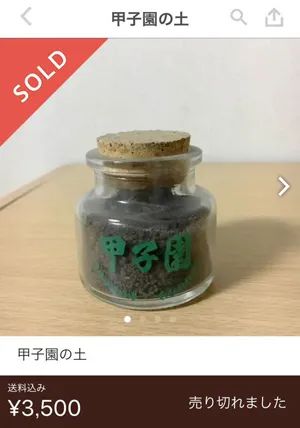 鏃ユ湰浜屾墜濂囪懇鍟嗗搧,浜屾墜缃戠珯濂囪懇鐗╁搧