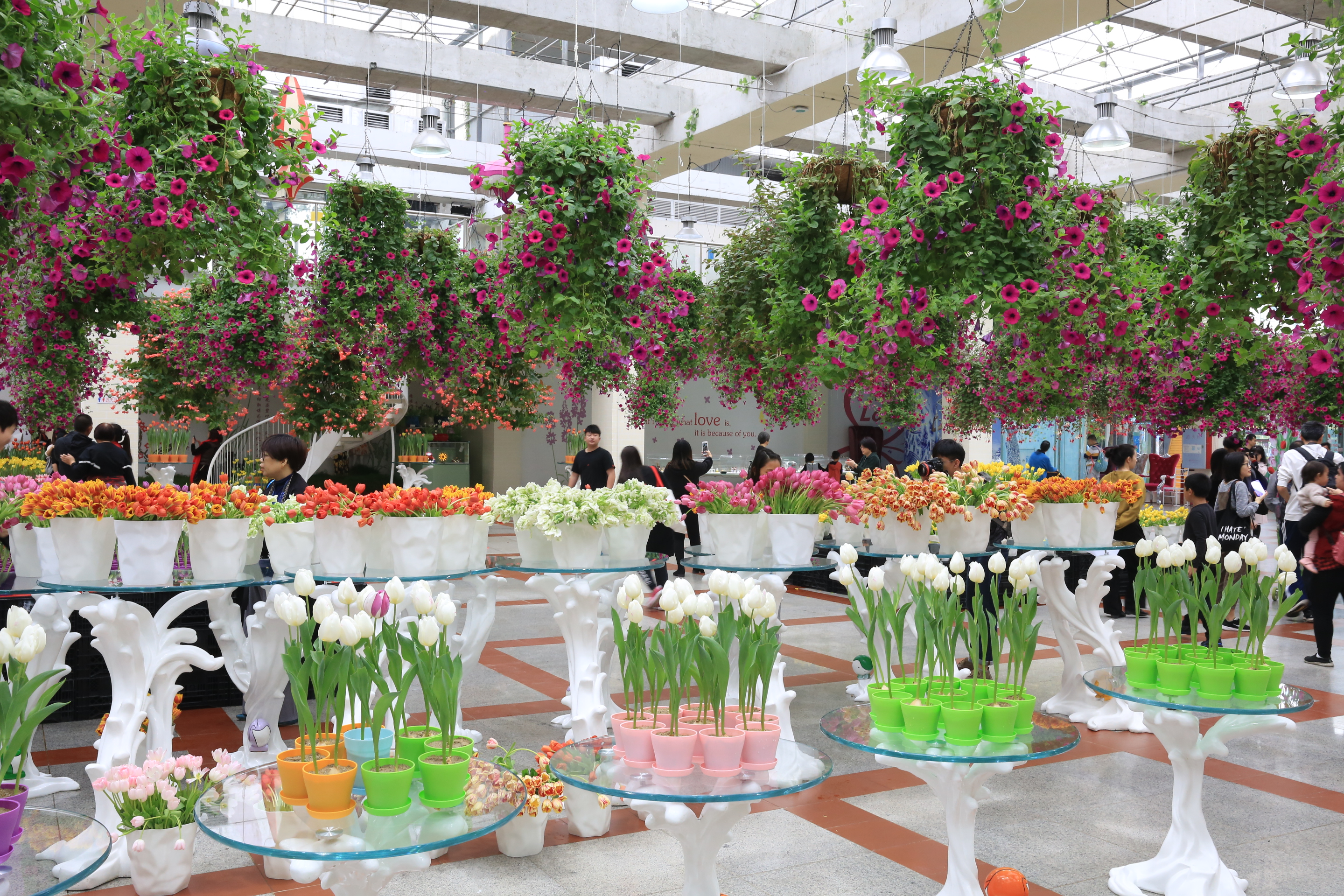 森林花海亲子游攻略,森林公园亲子游推荐