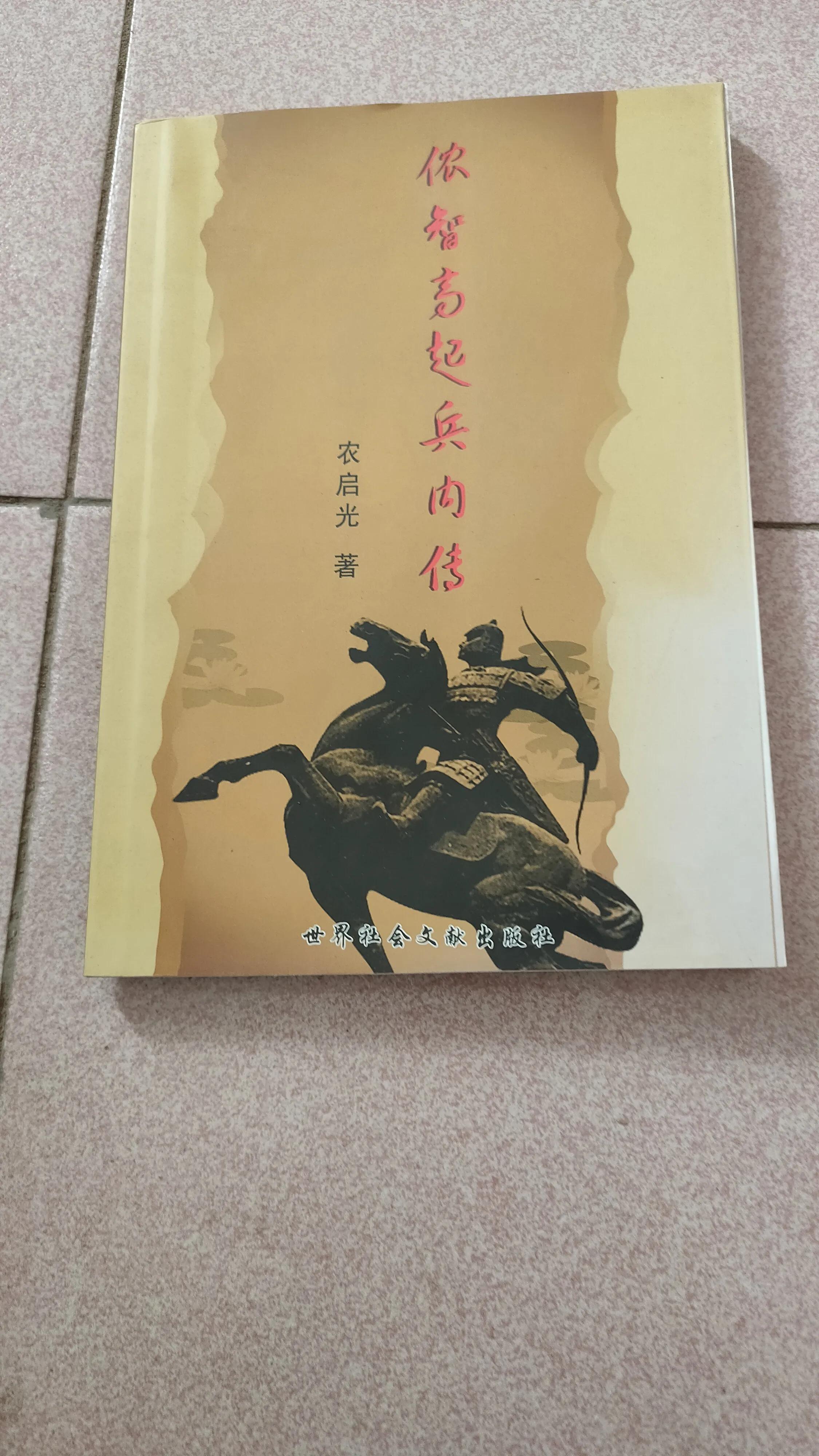 民族英雄侬智高,中国通史如何评价历史人物