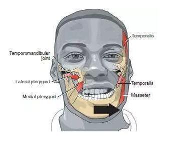 张嘴咬牙关节疼怎么回事,张嘴时口腔发出响声是怎么回事