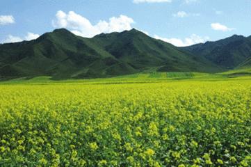 甘肃兰州最大的几个镇,兰州第一大县是哪个县