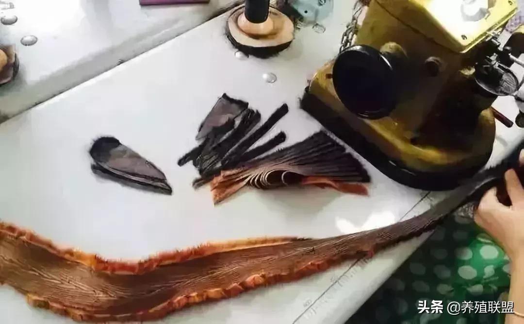 几千和几百的皮衣,一千块可以买什么档次的皮草