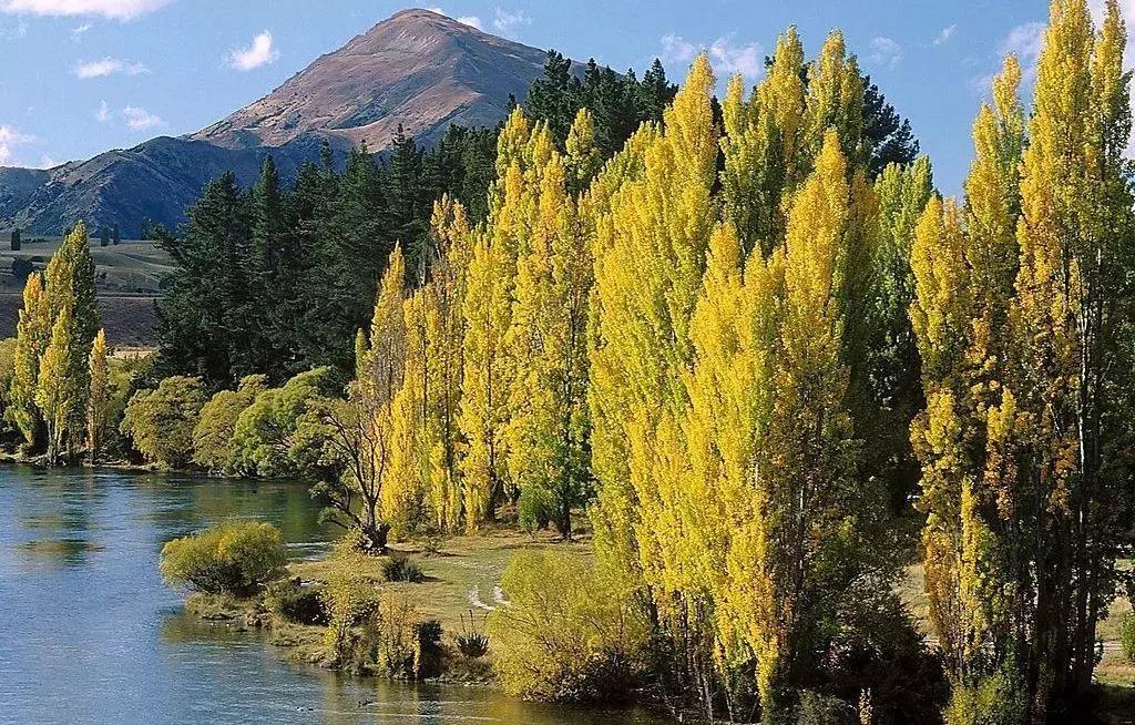 人生必经的三种境界,人生必经之三件事