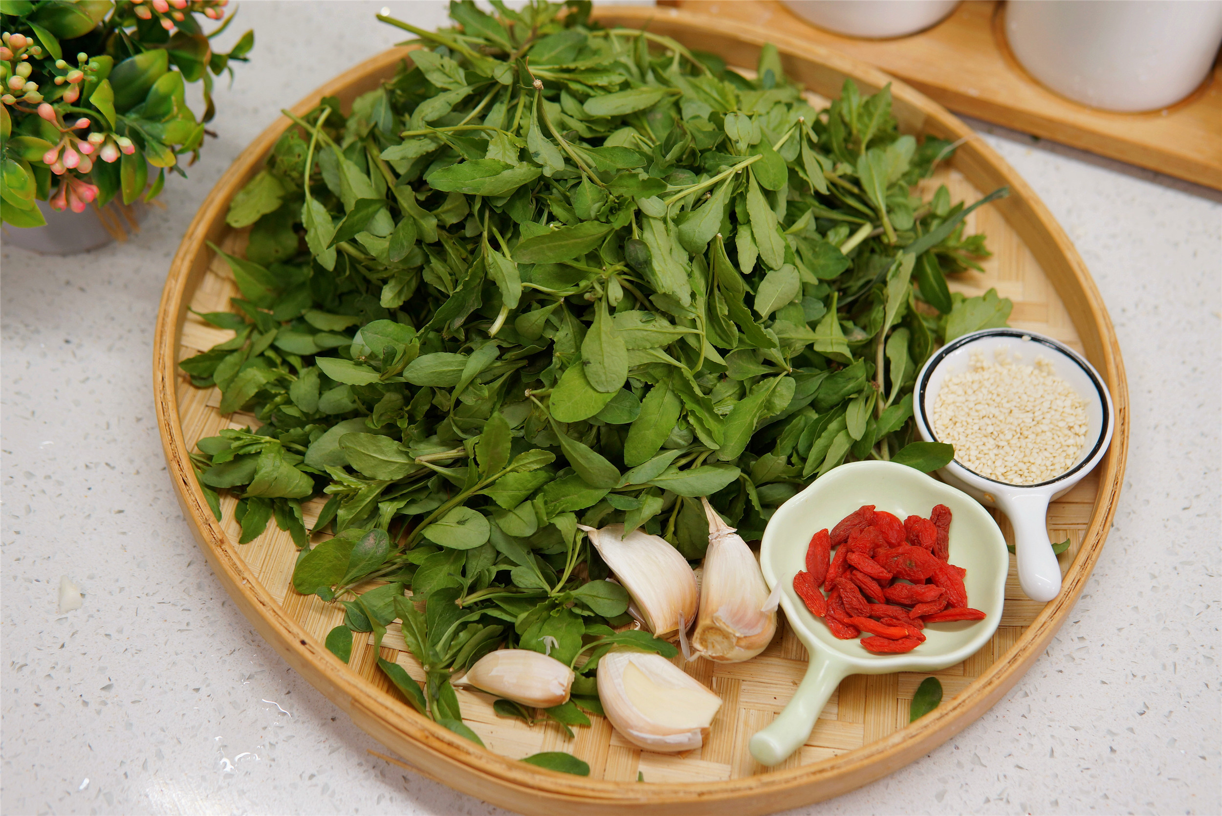 春季枸杞苗芽怎么吃,春季吃枸杞芽的好处