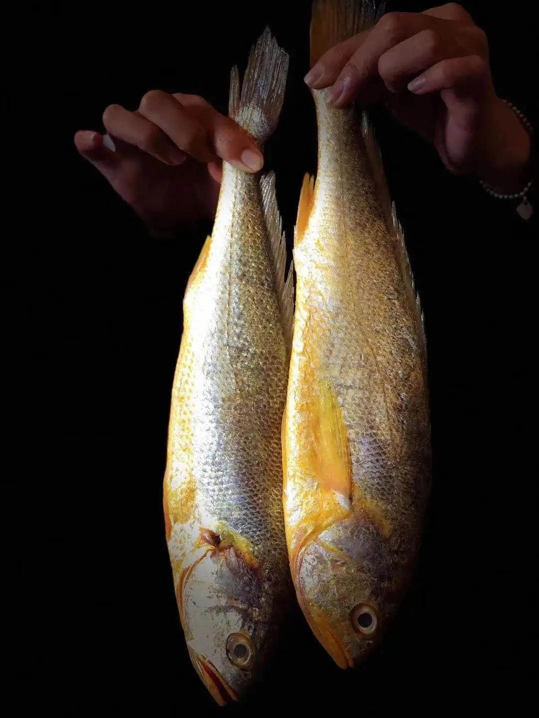 蹇嶄笉浣忔媿缇庨鍙戞湅鍙嬪湀,鍑″皵璧涚編椋熷